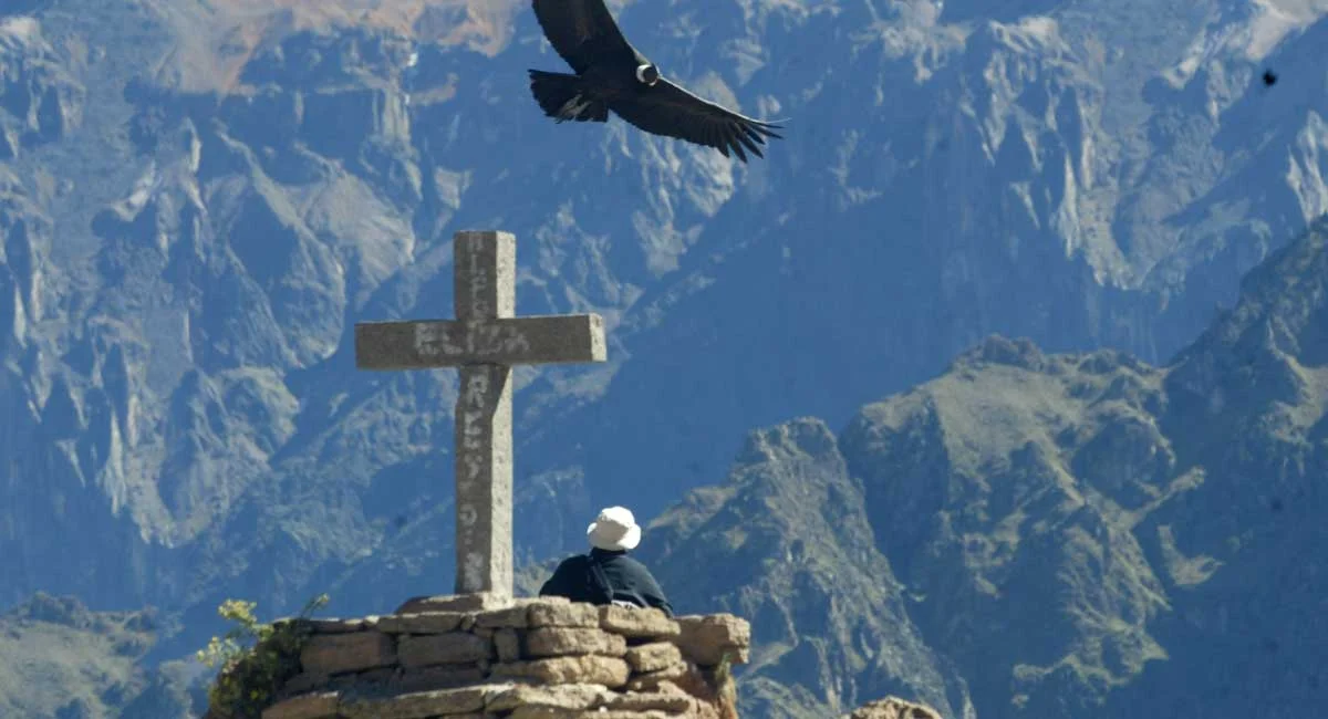 Colca canyon tour from Puno